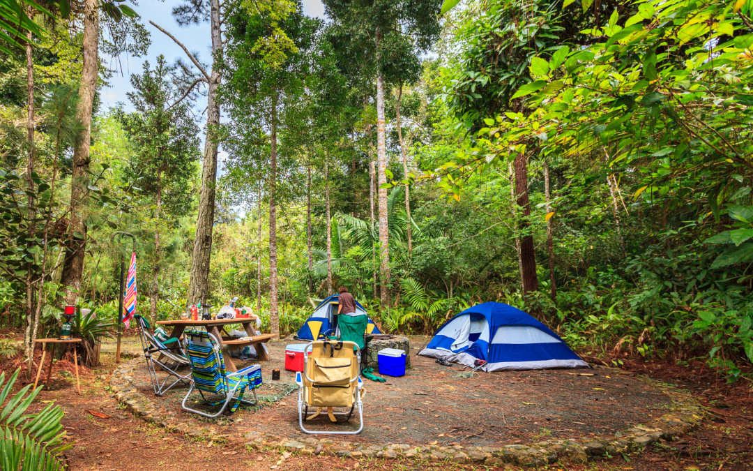 The Ultimate Guide to a Comfortable and Well-Organized Campsite